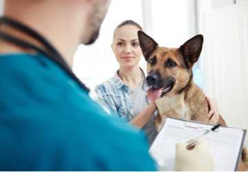 What Pet Owners Should Know About Pet Insurance